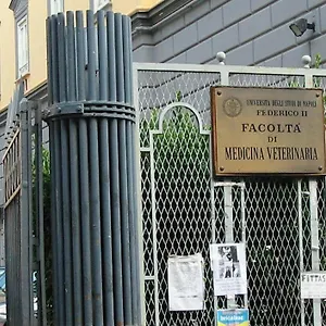 Le 3 Sorelle House Casa vacanze Napoli